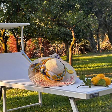 Bed and Breakfast Lemon Factor Sorrent Exterior foto