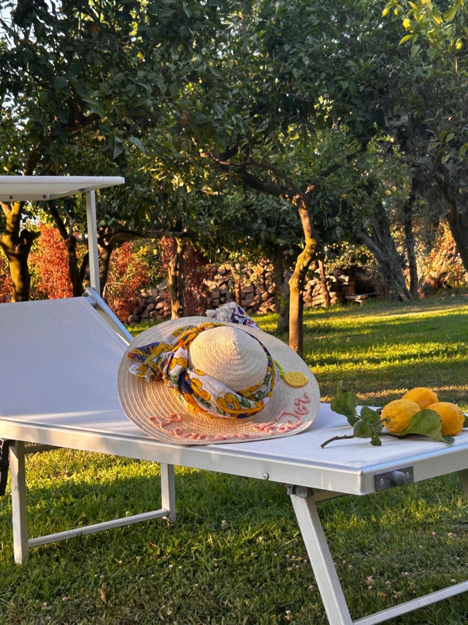 Bed and Breakfast Lemon Factor Sorrent Exterior foto